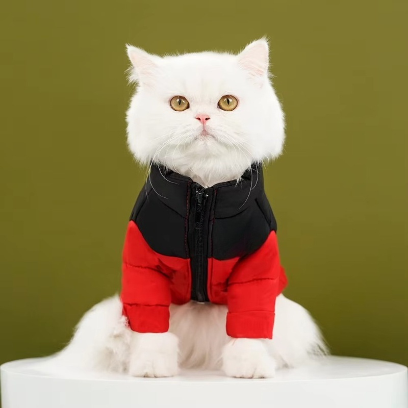 Chaqueta de Plumón de Algodón  - Winter Clothing Manufacturers reseña y precio